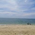 やまふどう やま Profile Picture