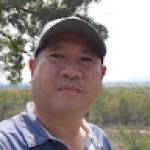 maple may may Profile Picture