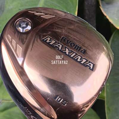 Driver Ryo Profile Picture