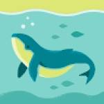 wise market Profile Picture